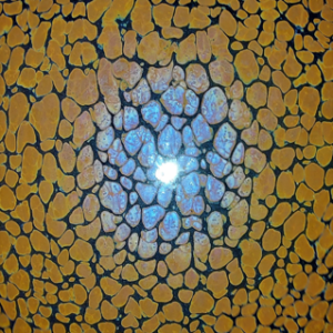 Tyo_＃586_202108_202201 – Tyo_Sen&Tyo_Etsu(Challenge and transcendence)