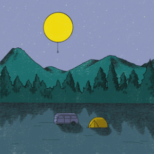 Unrevealed Board Animal – BOARD ANIMAL – routine